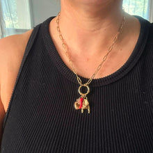 Load image into Gallery viewer, Chili Charmed Clip Necklace