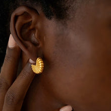 Load image into Gallery viewer, Concha Hoop Studs