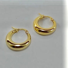 Load image into Gallery viewer, Vero Thick Statement Hoops