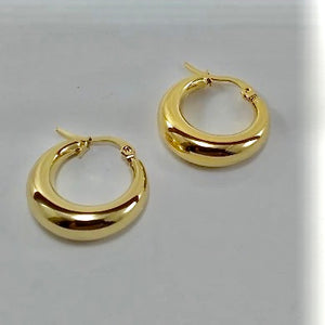 Vero Thick Hoops